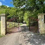 Les Ocelles De
