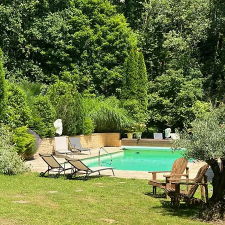 Les Ocelles De